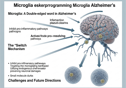تبدیل کلیدِ دفاعی مغز به محافظی در برابر آلزایمر